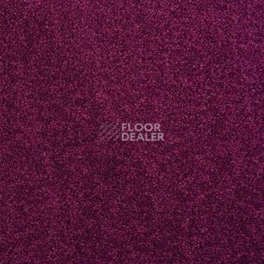 Ковровая плитка Modulyss Cambridge Xtra 41 f фото 1 | FLOORDEALER